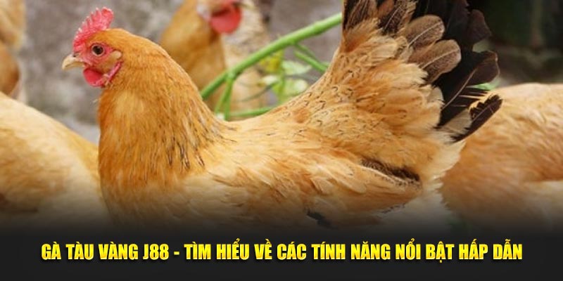 Gà Tàu Vàng J88 - Tìm Hiểu Về Các Tính Năng Nổi Bật Hấp Dẫn