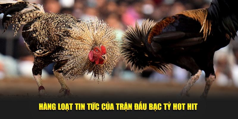 Hàng loạt tin tức của trận đấu bạc tỷ hot hit 