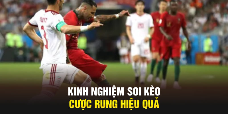 Kinh nghiệm soi kèo cược rung hiệu quả