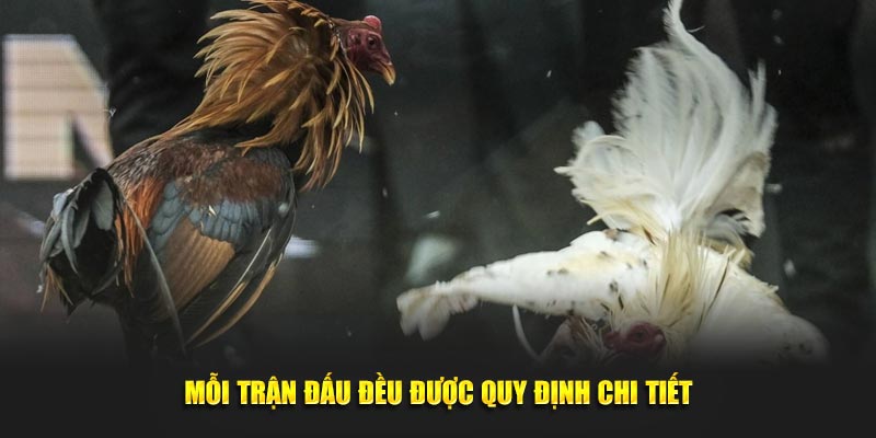 Mỗi trận đấu đều được quy định chi tiết 