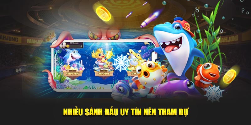 Nhiều sảnh đấu uy tín nên tham dự