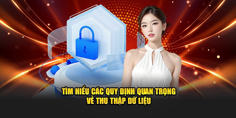 Tìm hiểu các quy định quan trọng về thu thập dữ liệu