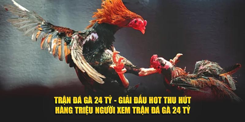 Trận Đá Gà 24 Tỷ - Giải Đấu Hot Thu Hút Hàng Triệu Người Xem