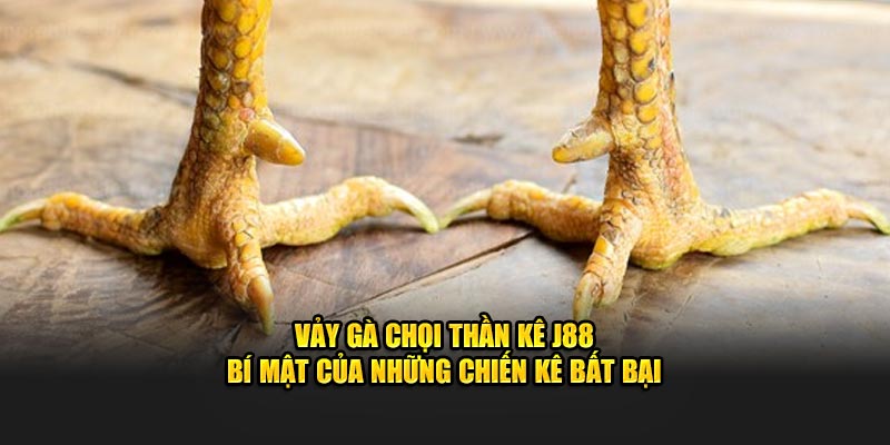 Vảy Gà Chọi Thần Kê J88 - Bí Mật Của Những Chiến Kê Bất Bại